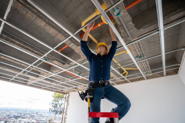 Best Plumbing Inspection Services  in Greenville, PA