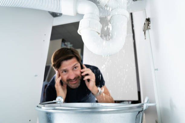 Best Clogged Drain Plumber  in Greenville, PA