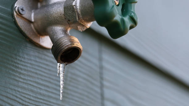 Best Shower Repair Services  in Greenville, PA